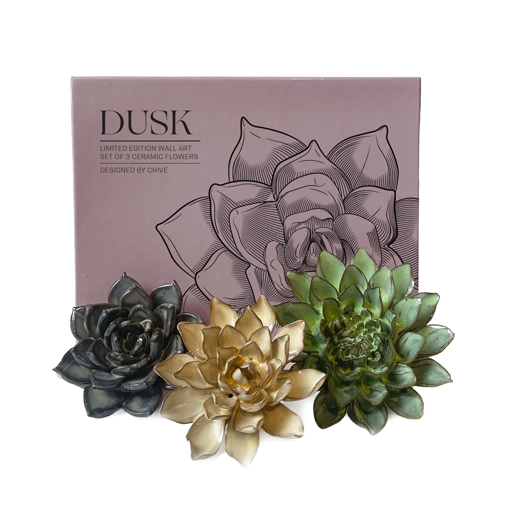chive ceramic succulents Ceramic Flower Gift Set
