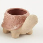 Turtle Pot