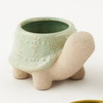 Turtle Pot