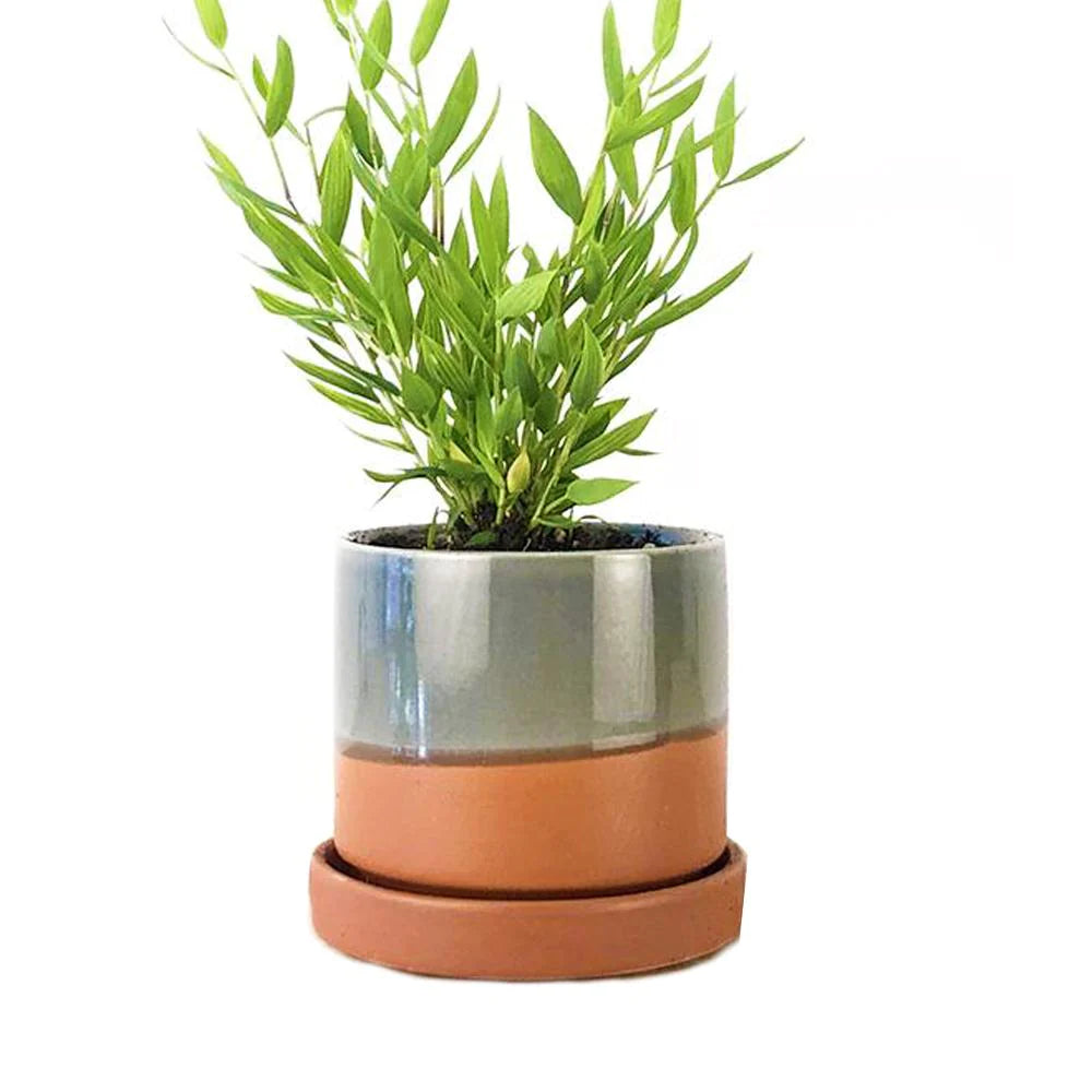 Minute Pot & Saucer in Terracotta