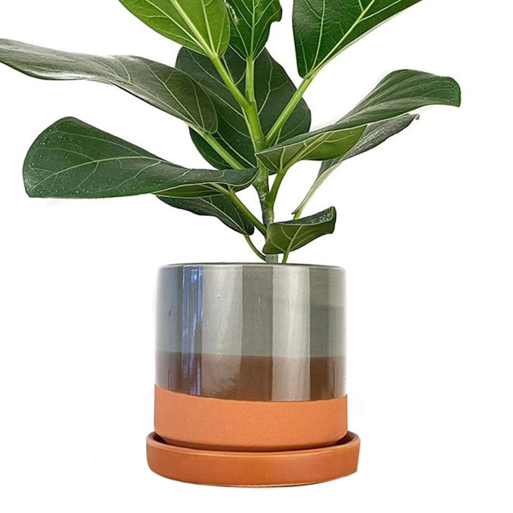 Minute Pot & Saucer in Terracotta