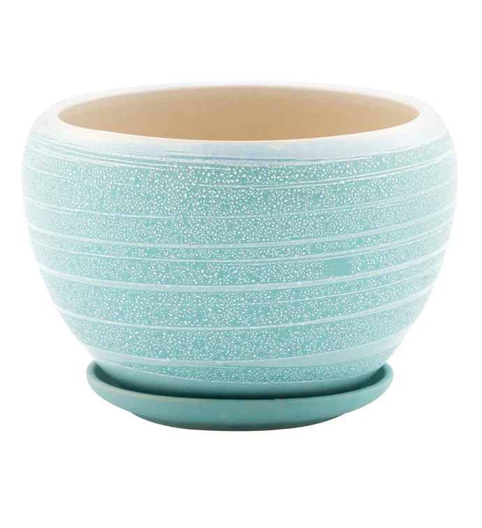 Blue Striped Pot w/ Saucer