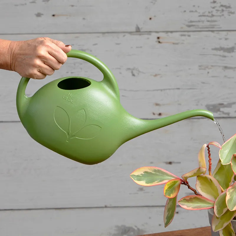 Half-Gallon Watering Can
