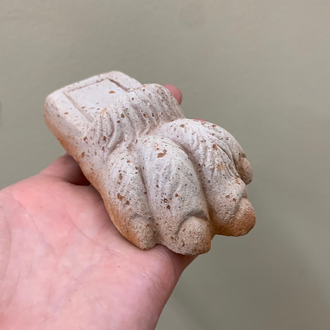 Lion Paw