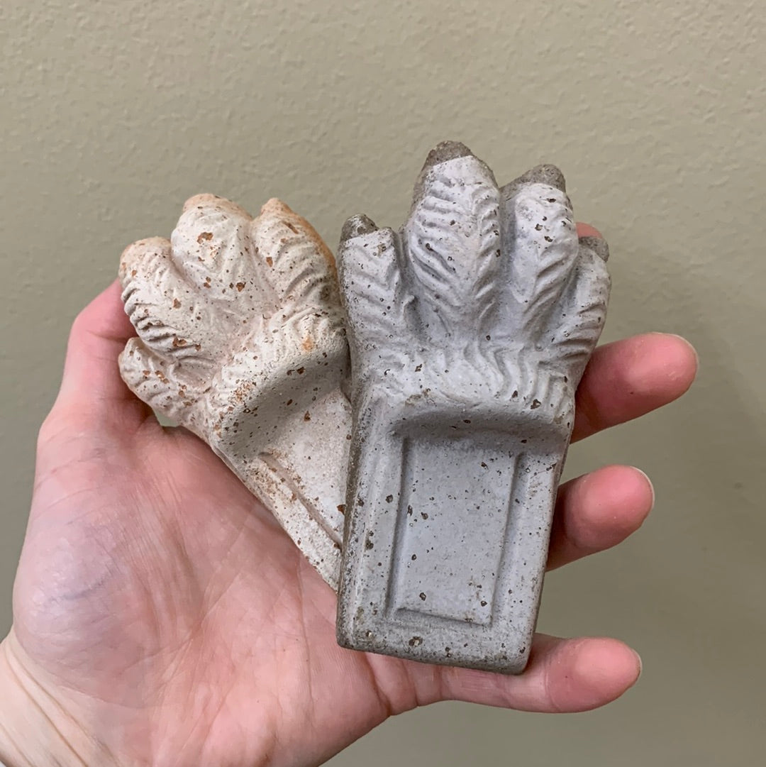 Lion Paw