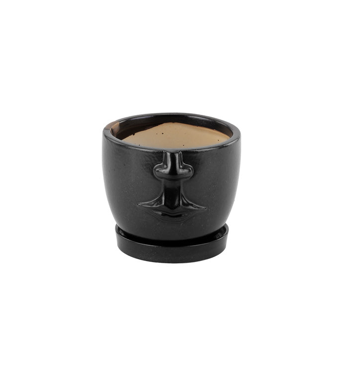 Face Planter w/ Saucer