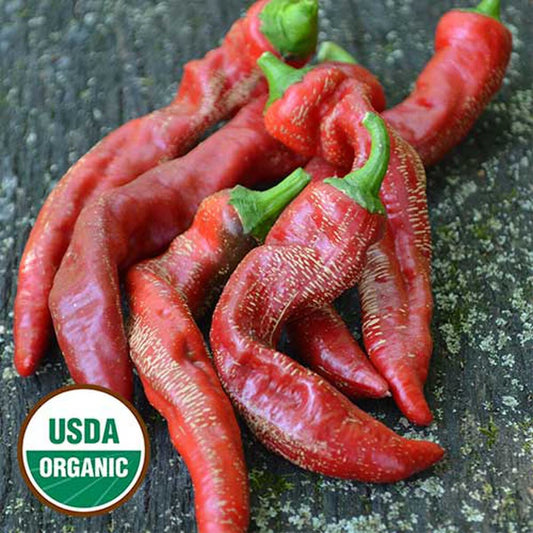 Seed Savers Ram's Horn Pepper (Organic)