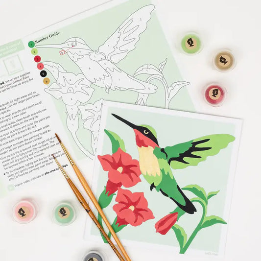 Hummingbird Mini Paint by Number Kit