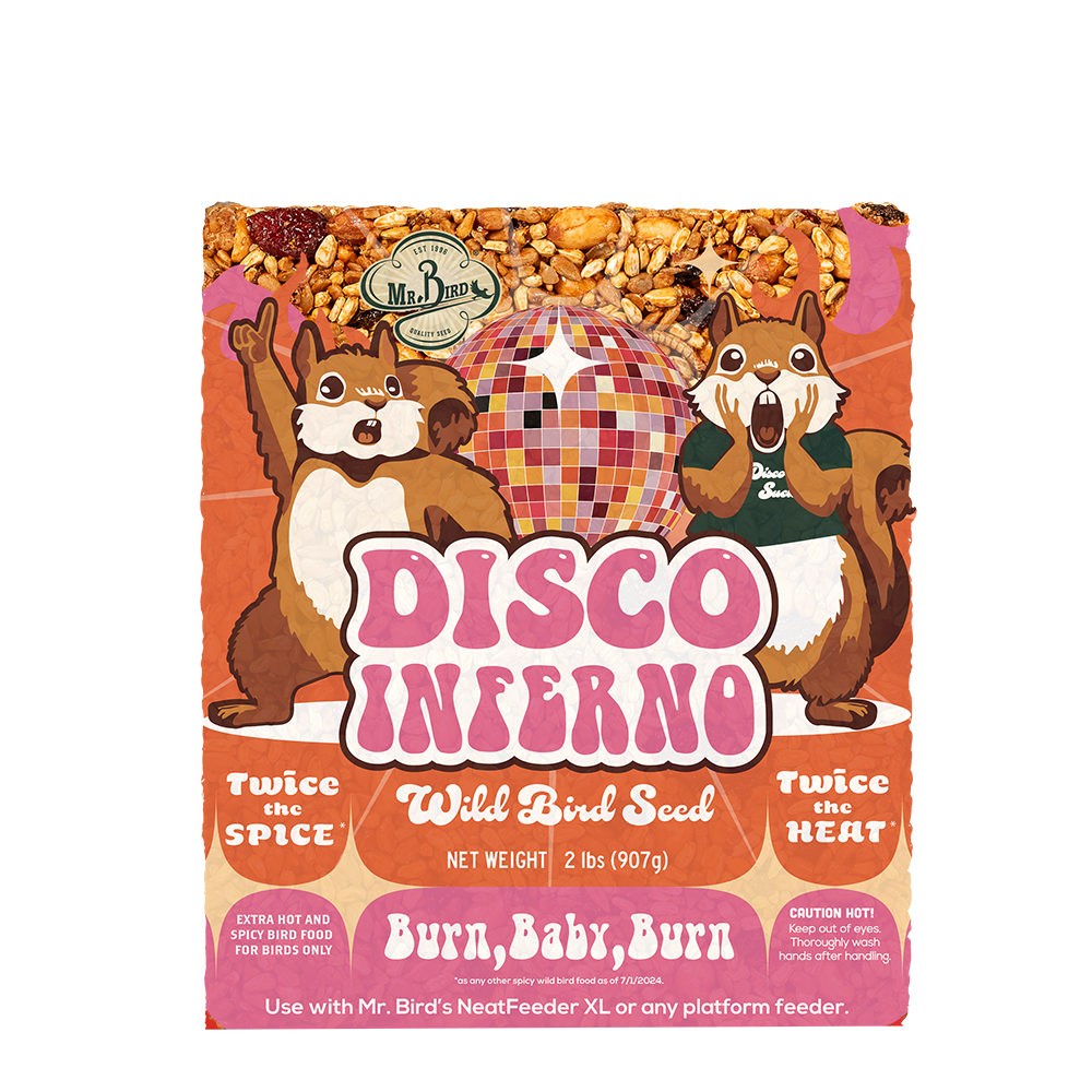 Disco Inferno Cake