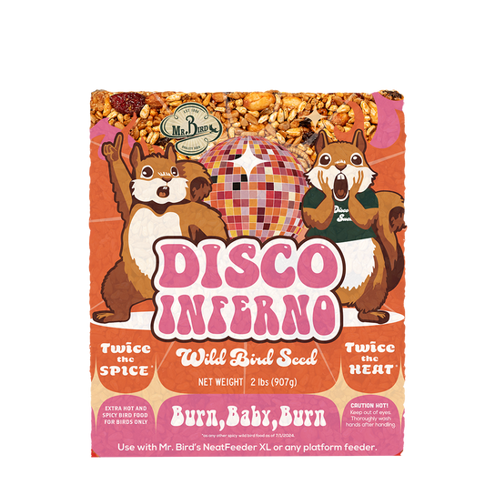 Disco Inferno Cake