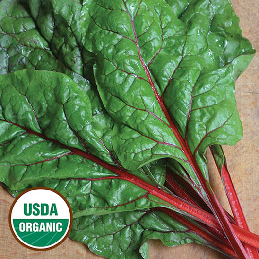 Seed Saver Rhubarb Red Swiss Chard (Organic)