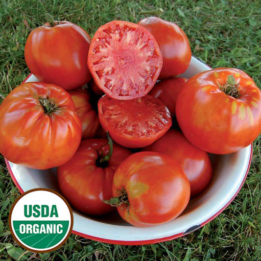 Seed Savers Italian Heirloom Tomato