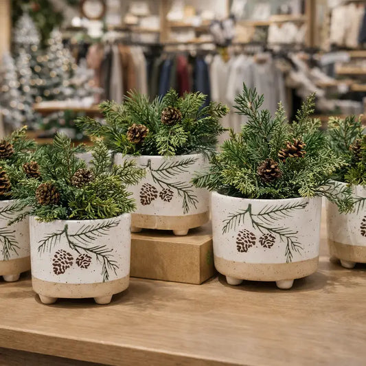 Evergreen Pine Cone Footed Planter