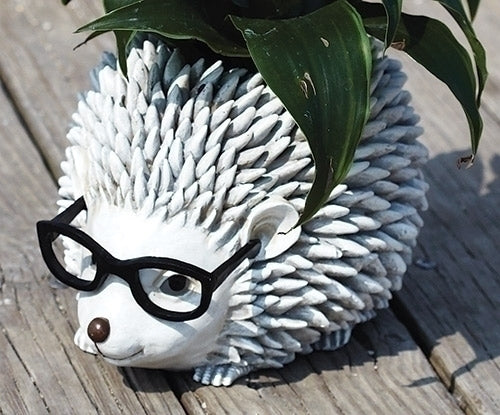 Hedgehog w/ Glasses Planter