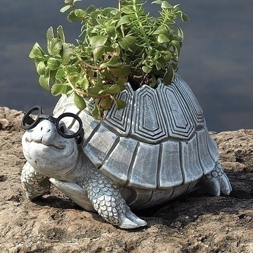 Turtle with Glasses Planter