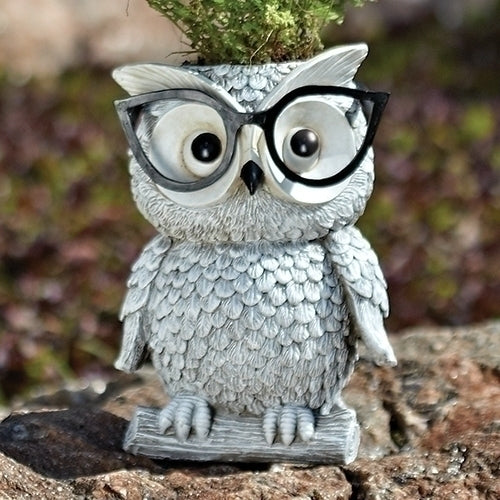 Owl w/ Glasses Planter