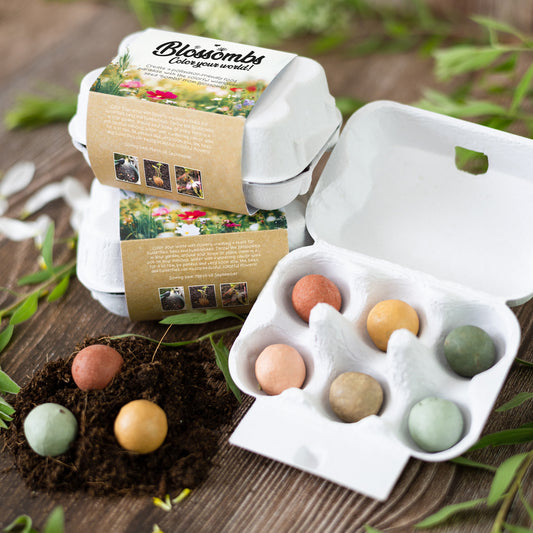 It's Spring! Blossombs in Egg Carton