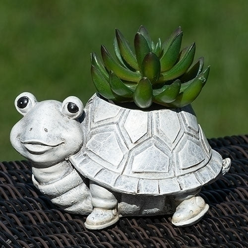 Mini Turtle Pudgy Planter