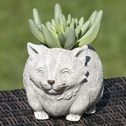 Mini Cat Pudgy Planter