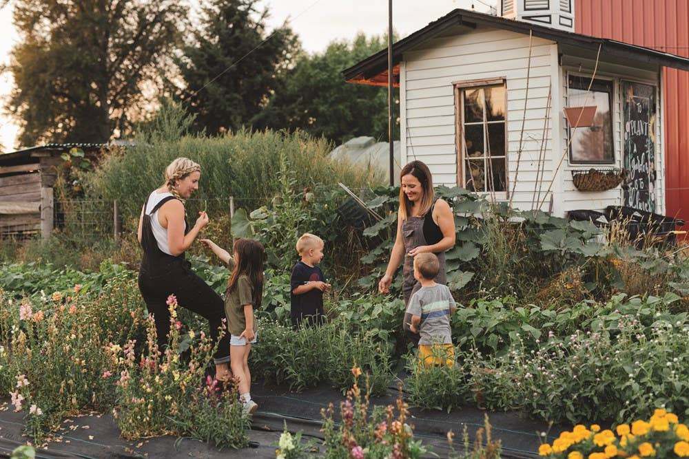 Drink Your Garden