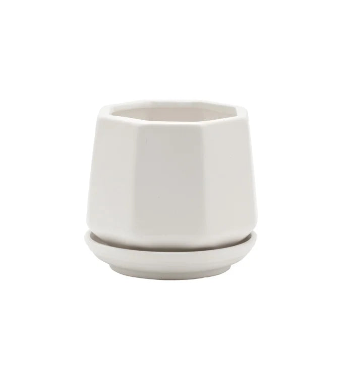 White Hex Planter