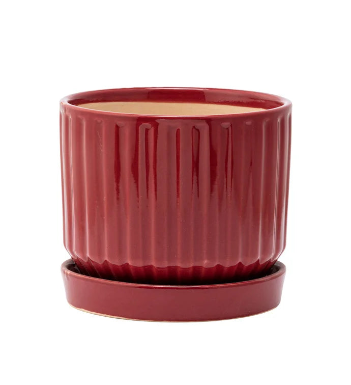 Burgundy Ribbed Planter with Saucer