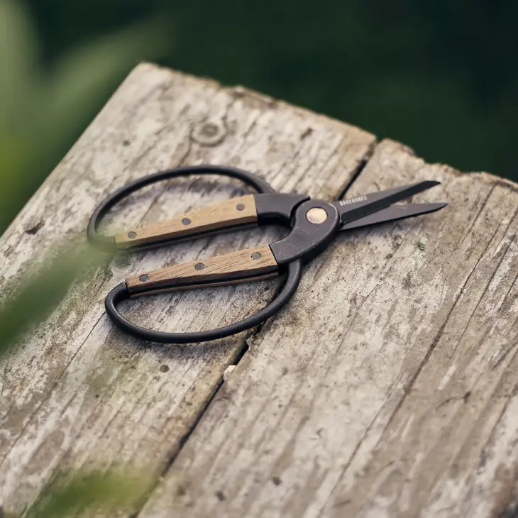 Barebones Small Garden Scissors-Walnut