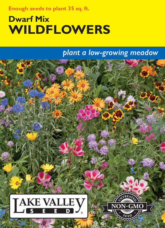 Wildflowers Dwarf Mix