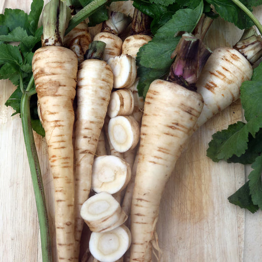 Seed Savers Hollow Crown Parsnip