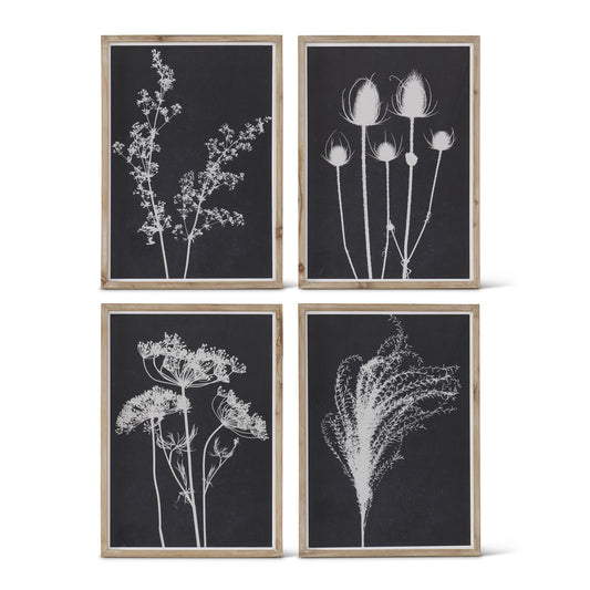 Black and White Botanical Art Print