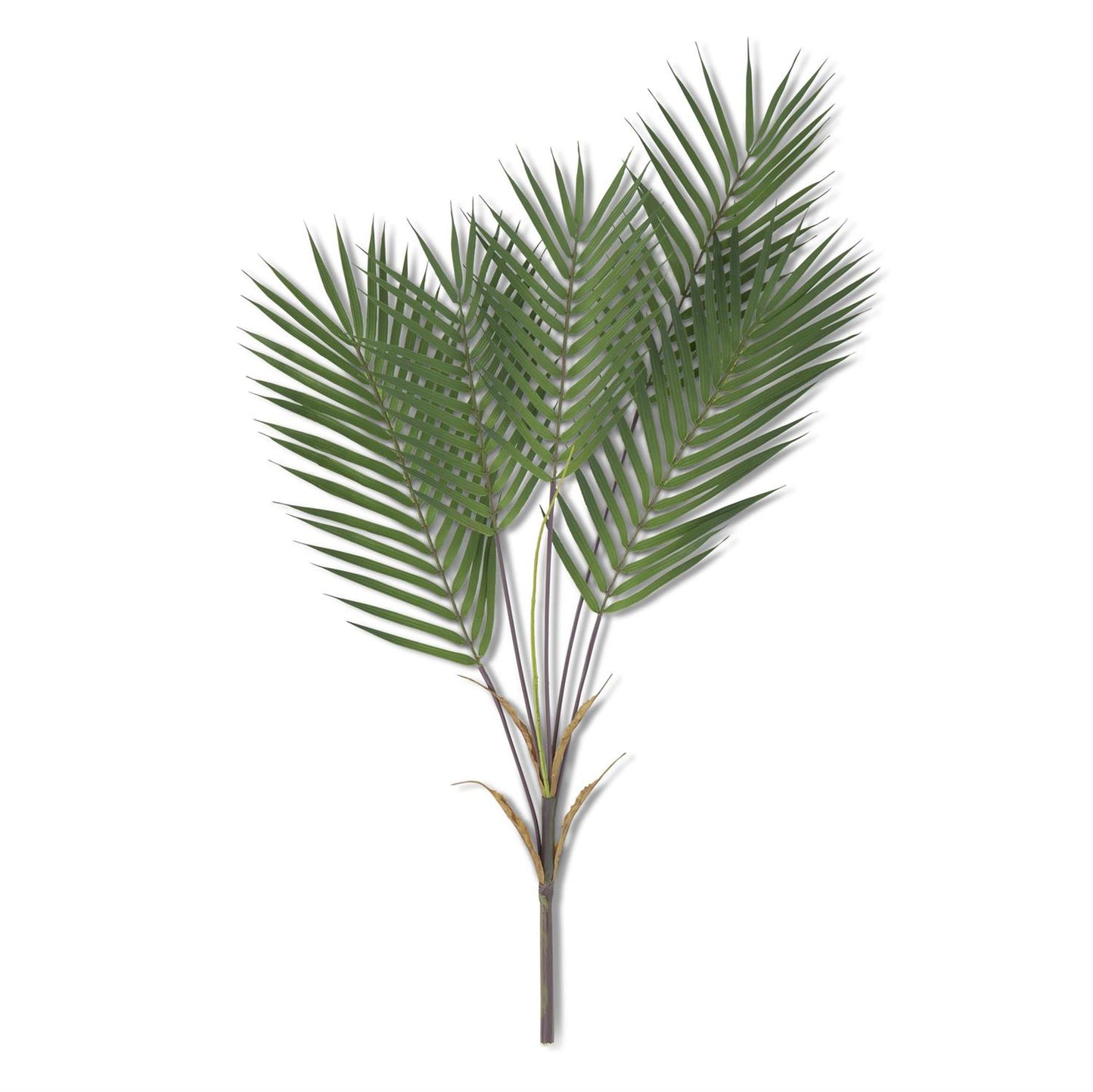 5 Stem Palm Branch