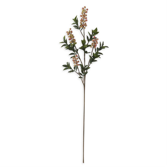 Orange Berry Stem