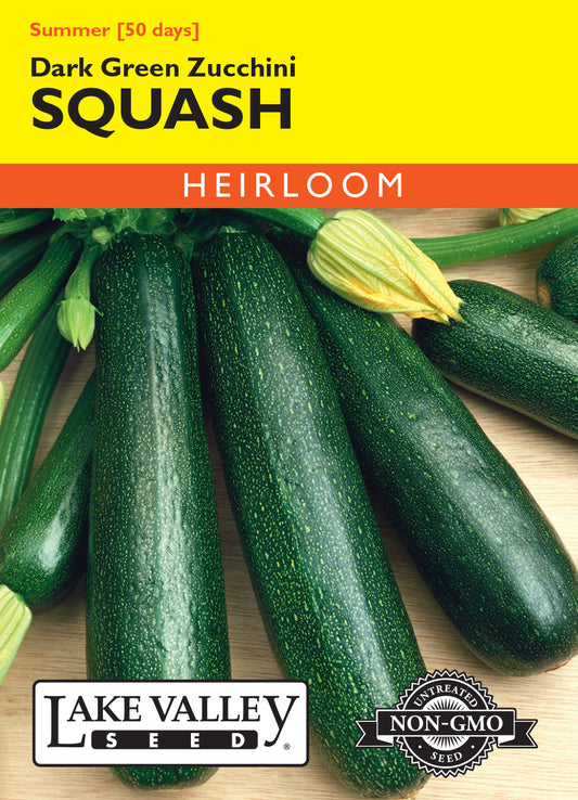 Squash Dark Green Zucchini Seeds