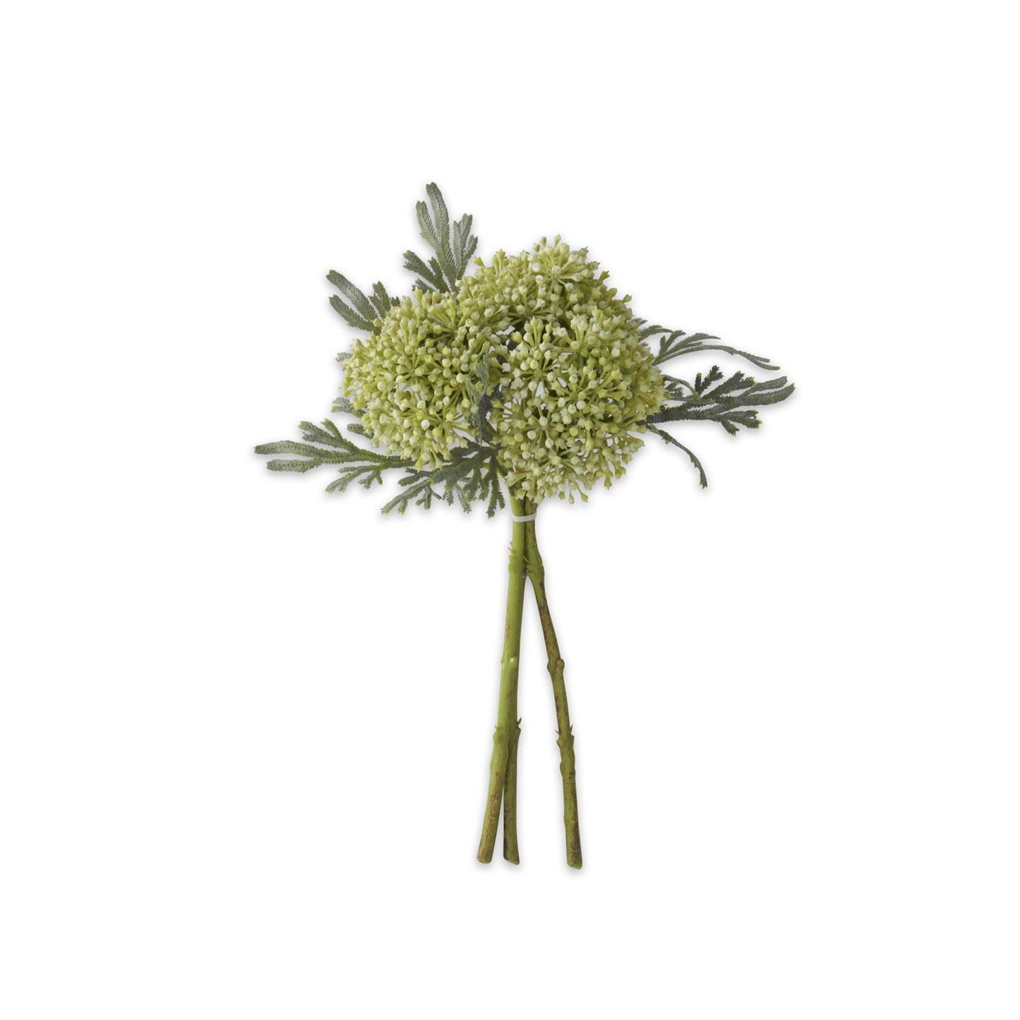 Sedum Bundle