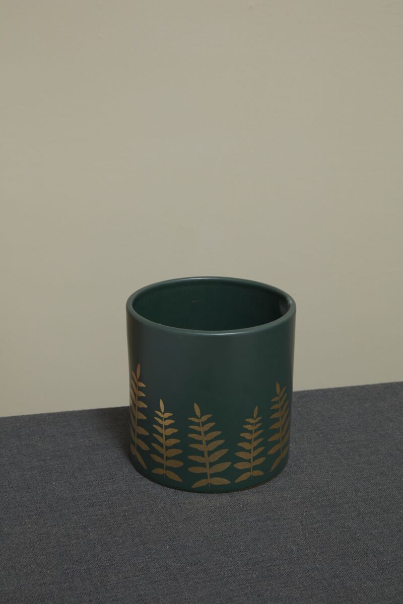 Midwinter Fern Pot