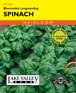 Spinach Bloomsdale Longstanding