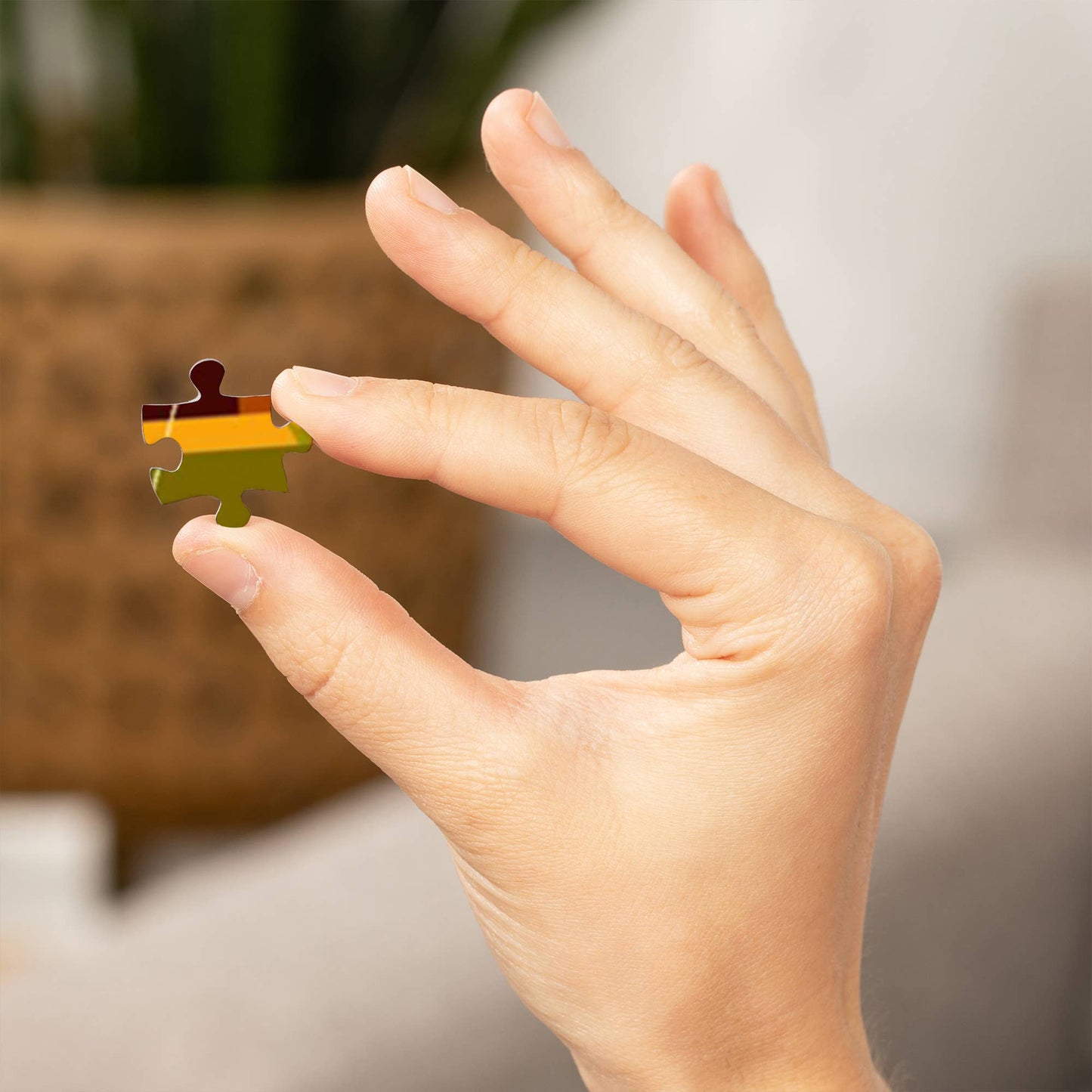 1000 PIECE PUZZLE Minnesota, Geometric, Lake & River