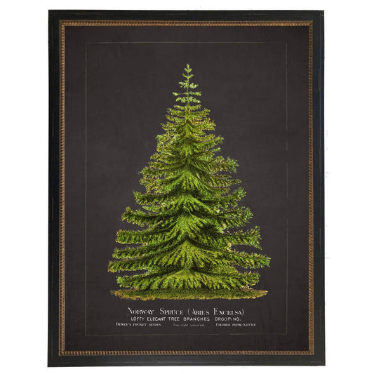 Framed vintage norway spruce bookplate