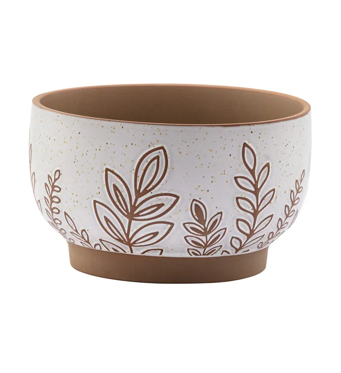 White/Brown Fern Bowl Planter