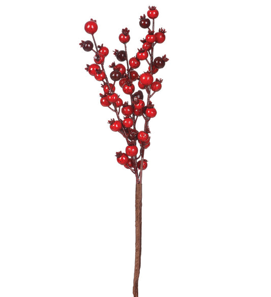 Red Berry Spike Spray