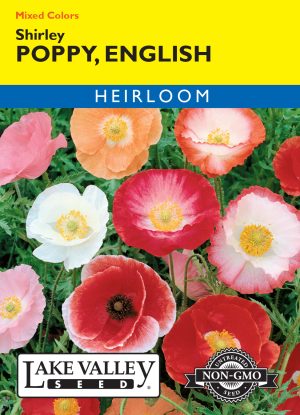 Poppy English Shirley Mixed Colors