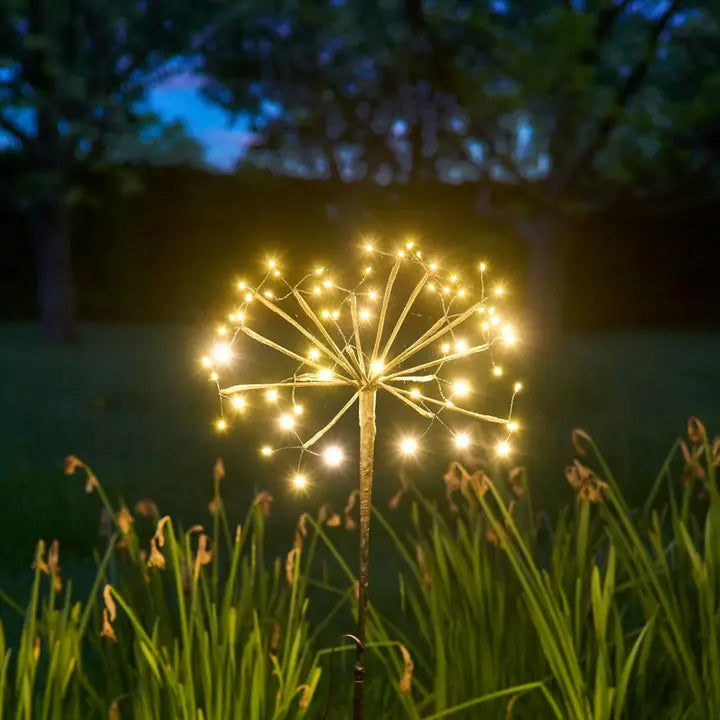 Solar Dandelion Lights
