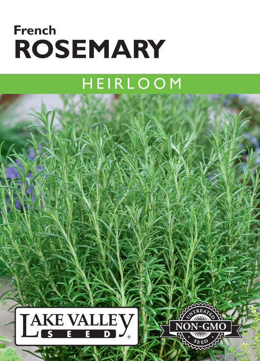 Rosemary French Seeds
