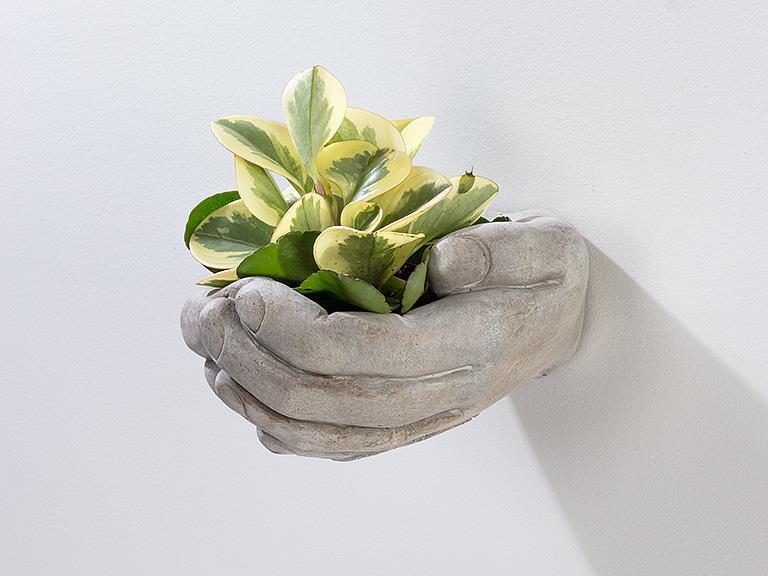Cupping Hands Wall Planter