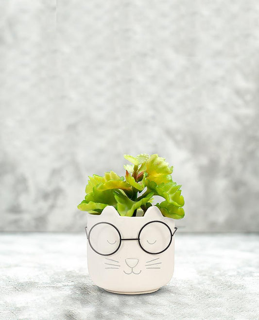 Cat Face Planter with Glasses