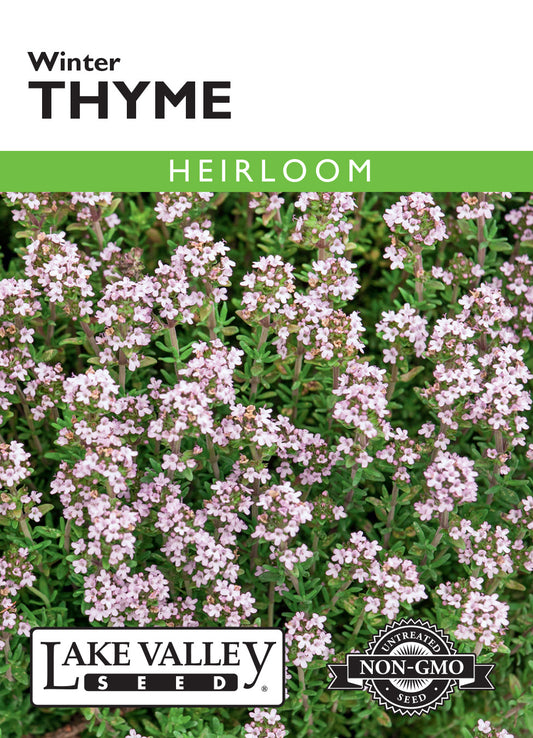 Thyme Winter Seeds