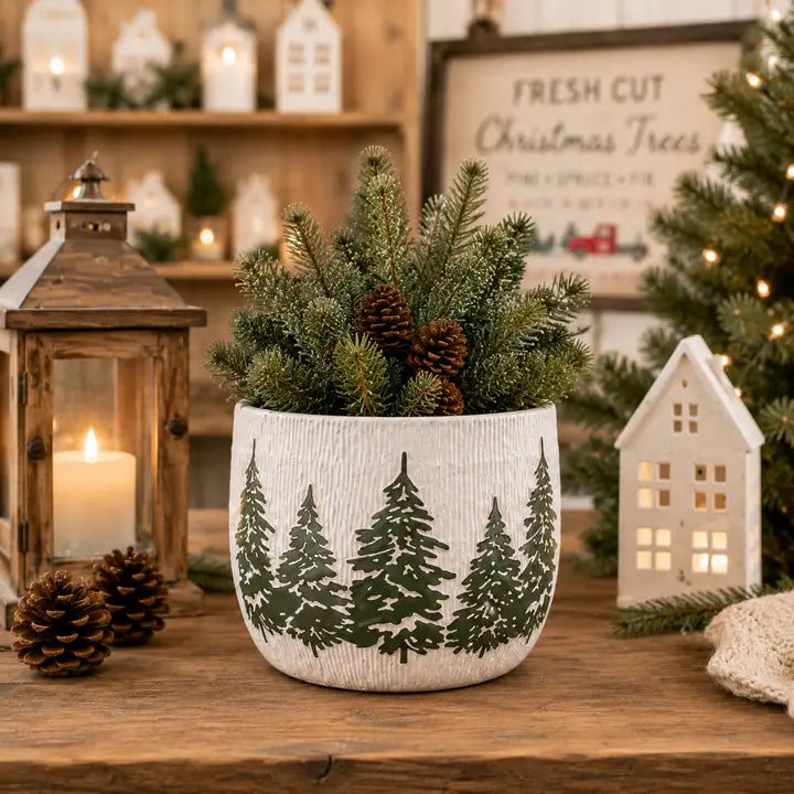 White Planter with Evergreen Tree