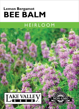 Bee Balm Lemon Bergamot