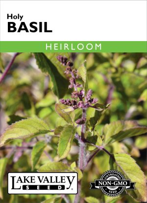 Basil Holy