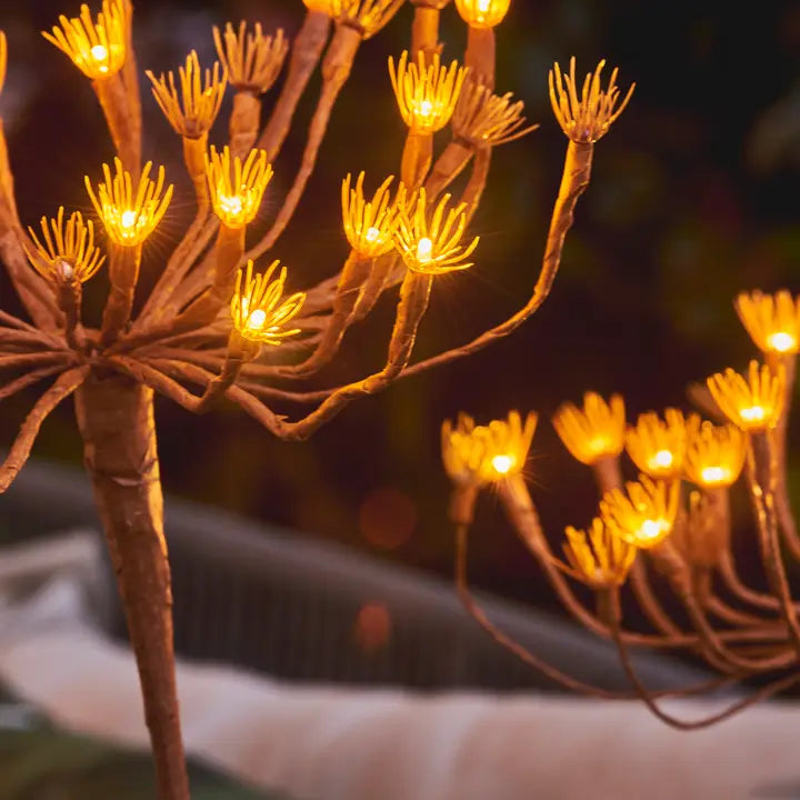 Solar Wild Fennel Garden Lights
